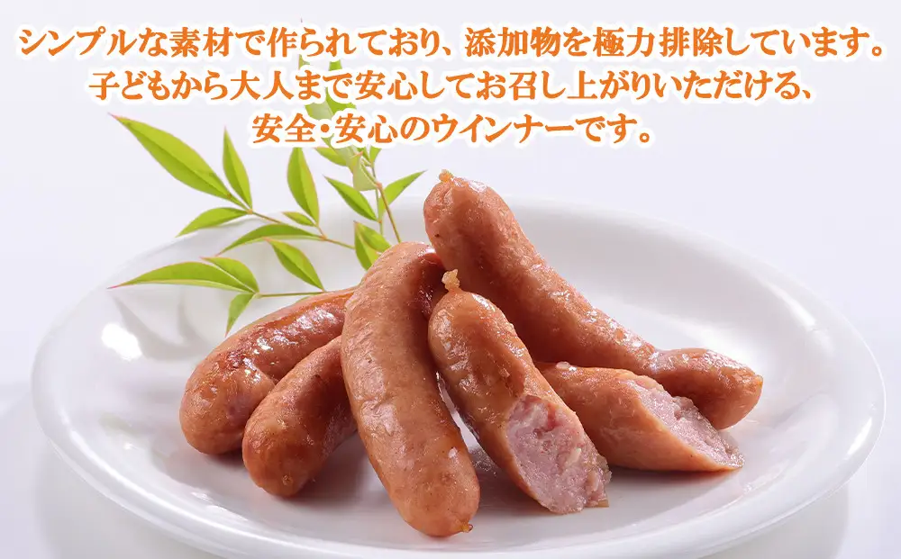 【 京都特産ぽーく 】大容量 ウインナー セット 5本×13袋｜銘柄豚専門店 自然派 ウインナー 人気