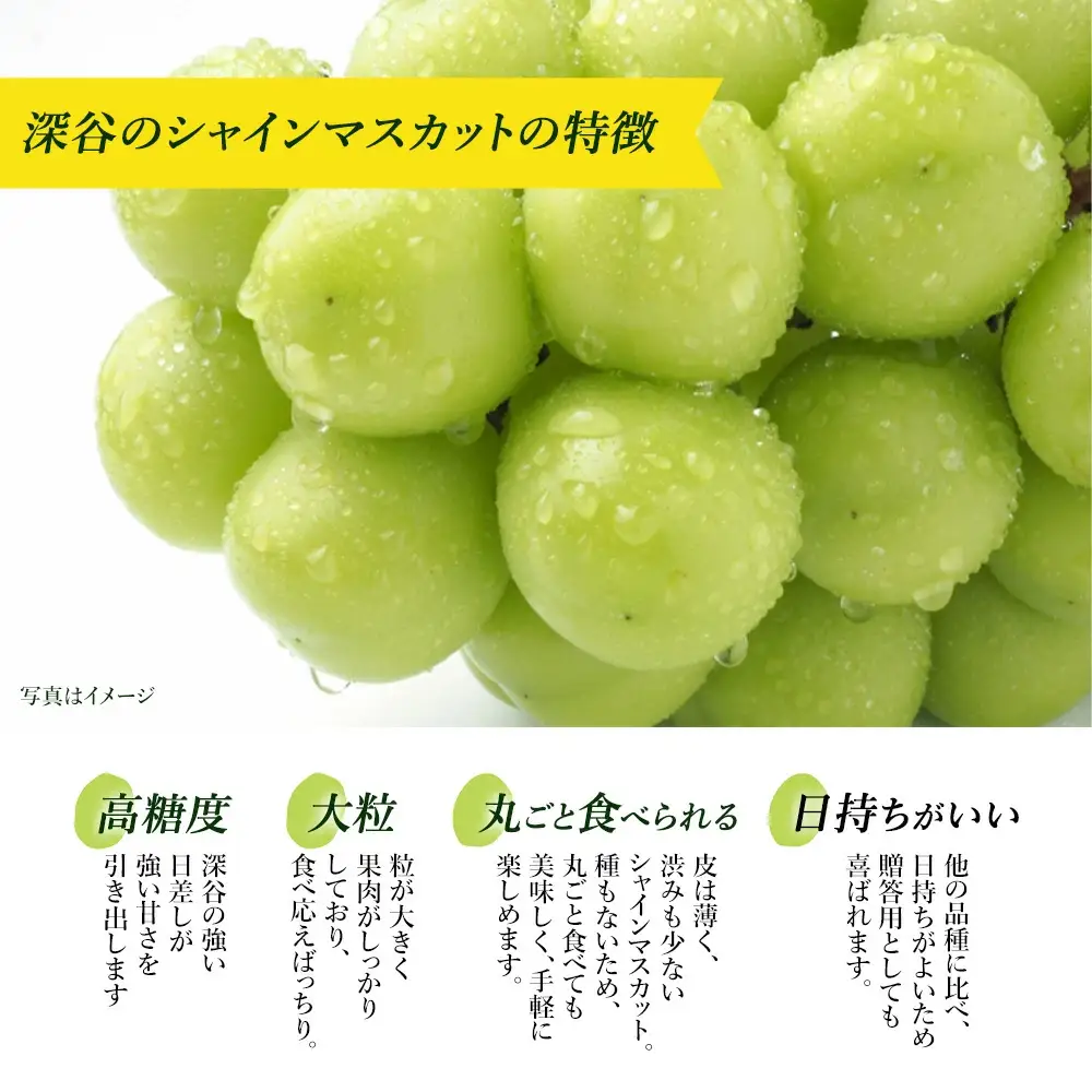 シャインマスカット　1kg　【11218-0921】