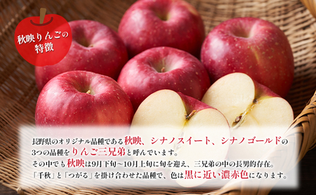 秋映 りんご 訳アリ 約5kg（10～20玉） 秋映