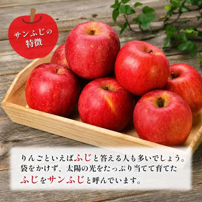 訳あり りんご JA信州うえだ 合戦りんご サンふじ 約5kg（10玉～20玉） リンゴ 林檎 ふじ 果物 くだもの フルーツ 信州 長野 離乳食 訳アリ わけあり 傷