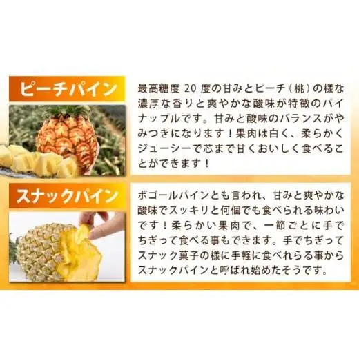 島のおいしいを贅沢に！大満足のパイナップル3種とマンゴー、マイヤーレモンの定期便　年5回に分けてお送りします 《2027年4月中旬以降発送》