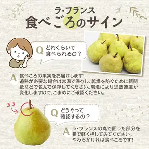 ≪先行受付≫ラフランス 5kg 14個～20個【2026年11月上旬～順次発送予定】 057-002