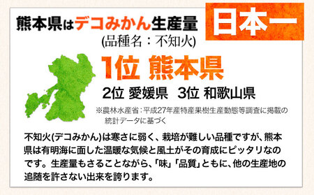 ご家庭用 デコみかん 約2kg 前後 (約4-10玉前後)《2027年2月上旬-4月上旬頃出荷》デコポン（不知火）と同品種 熊本県産 熊本県 長洲町 訳あり
