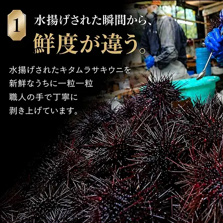 【予約商品】津軽海峡産　無添加　極上　瓶詰め生ウニ　180g×1本