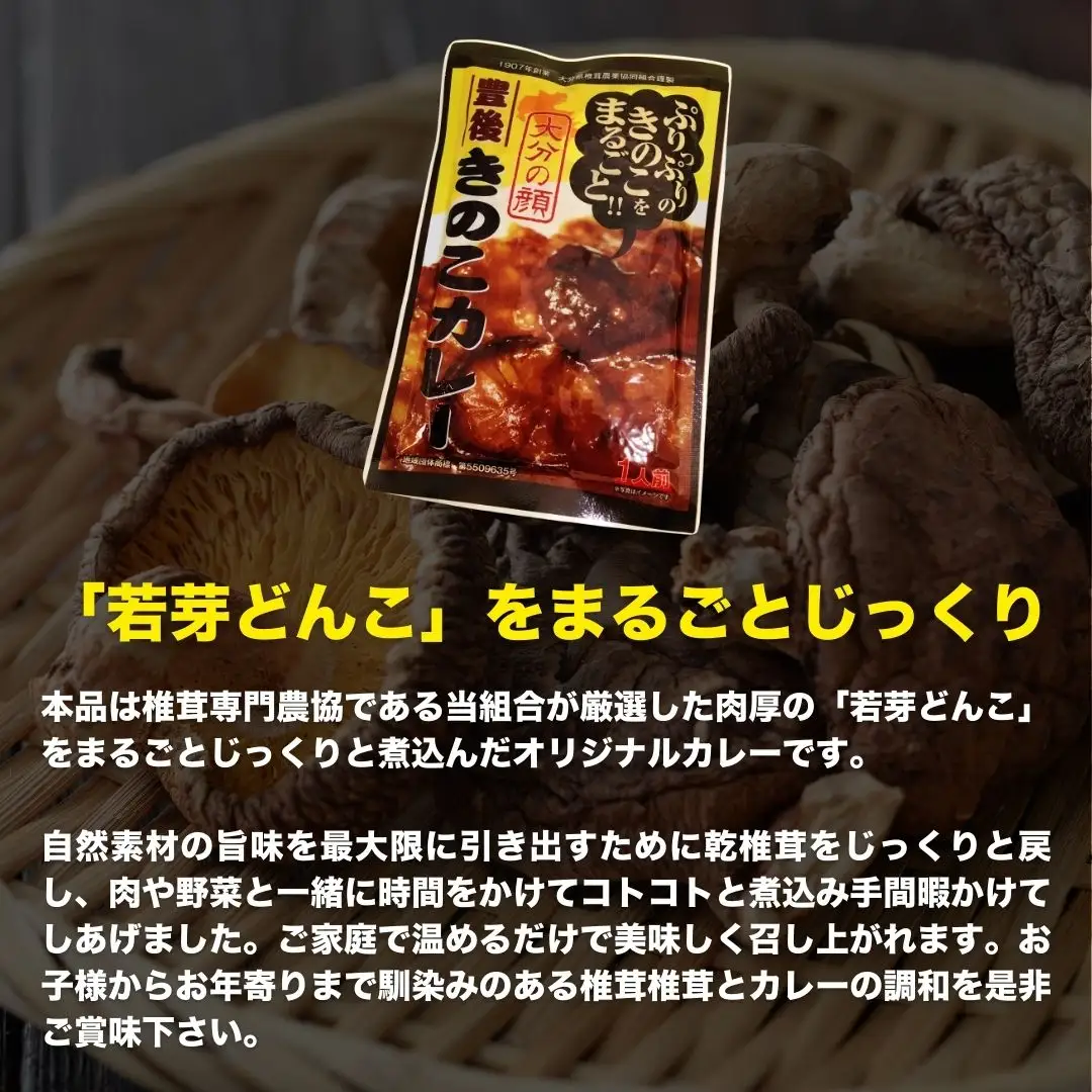 レトルトカレー 豊後きのこ レトルトカレー ×6 | 津久見市