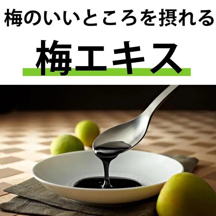 梅エキス 紀州の赤本純正【元気ノ国】70g×3個セット