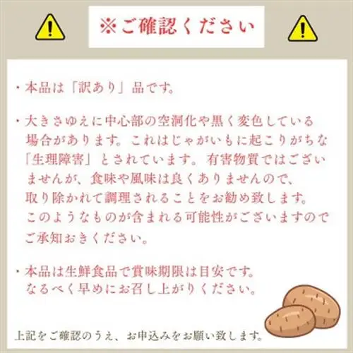 産地直送!訳ありお芋屋さんのBigじゃがいも(品種:とうや)10kg_訳あり じゃがいも 産地直送 大容量_【配送不可地域：離島・沖縄県】【1645283】