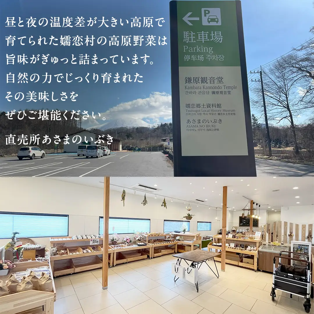 本日のおまかせ 高原野菜 の 詰合せ 5kg 5種以上 [AF027tu]