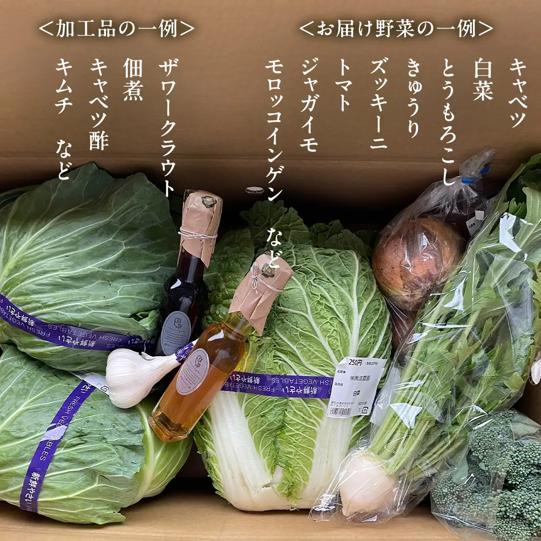 本日のおまかせ 高原野菜 5種以上 の 詰合せ と 加工品 1つ のセット 計10kg [AF028tu]