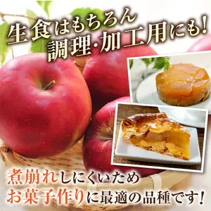 ≪先行受付≫紅玉りんご5kg 18個～25個 特秀【2026年10月下旬～順次発送予定】 057-003