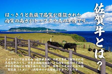 BL093_【冷凍】佐賀牛切り落とし600g(300g×２パック）