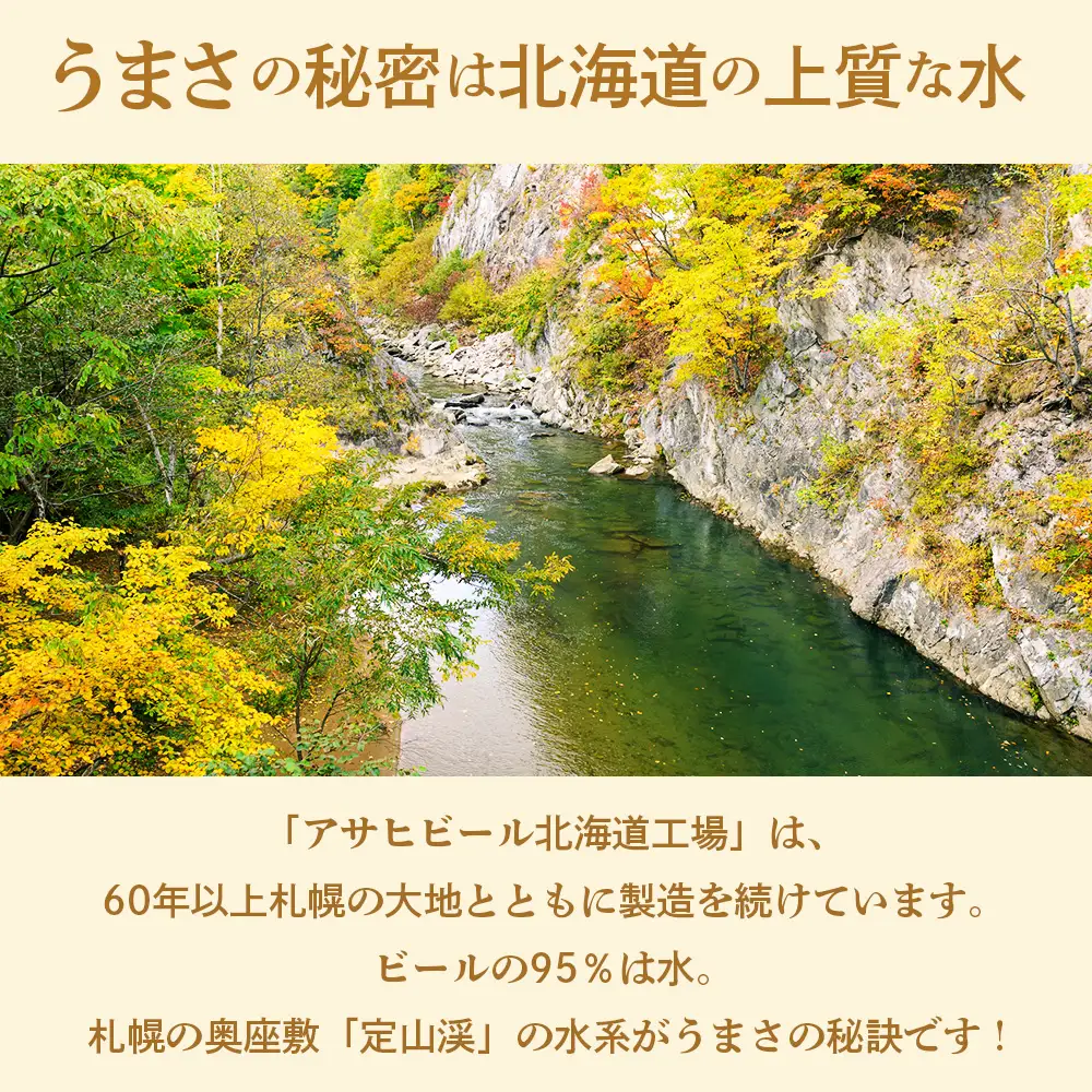 【定期便 7ヶ月】アサヒ生ビール≪マルエフ≫＜500ml＞24缶 2ケース 北海道工場製造