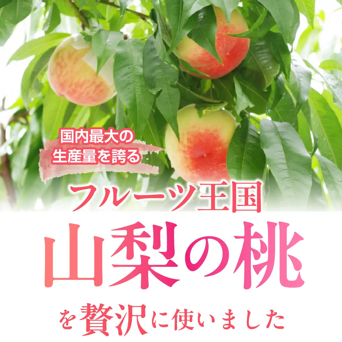 山梨県産　桃100％ジュース ALPFC001