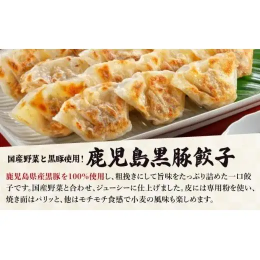 芦屋 伊東屋 謹製 黒豚 一口餃子 40個（醤油タレ 付き）