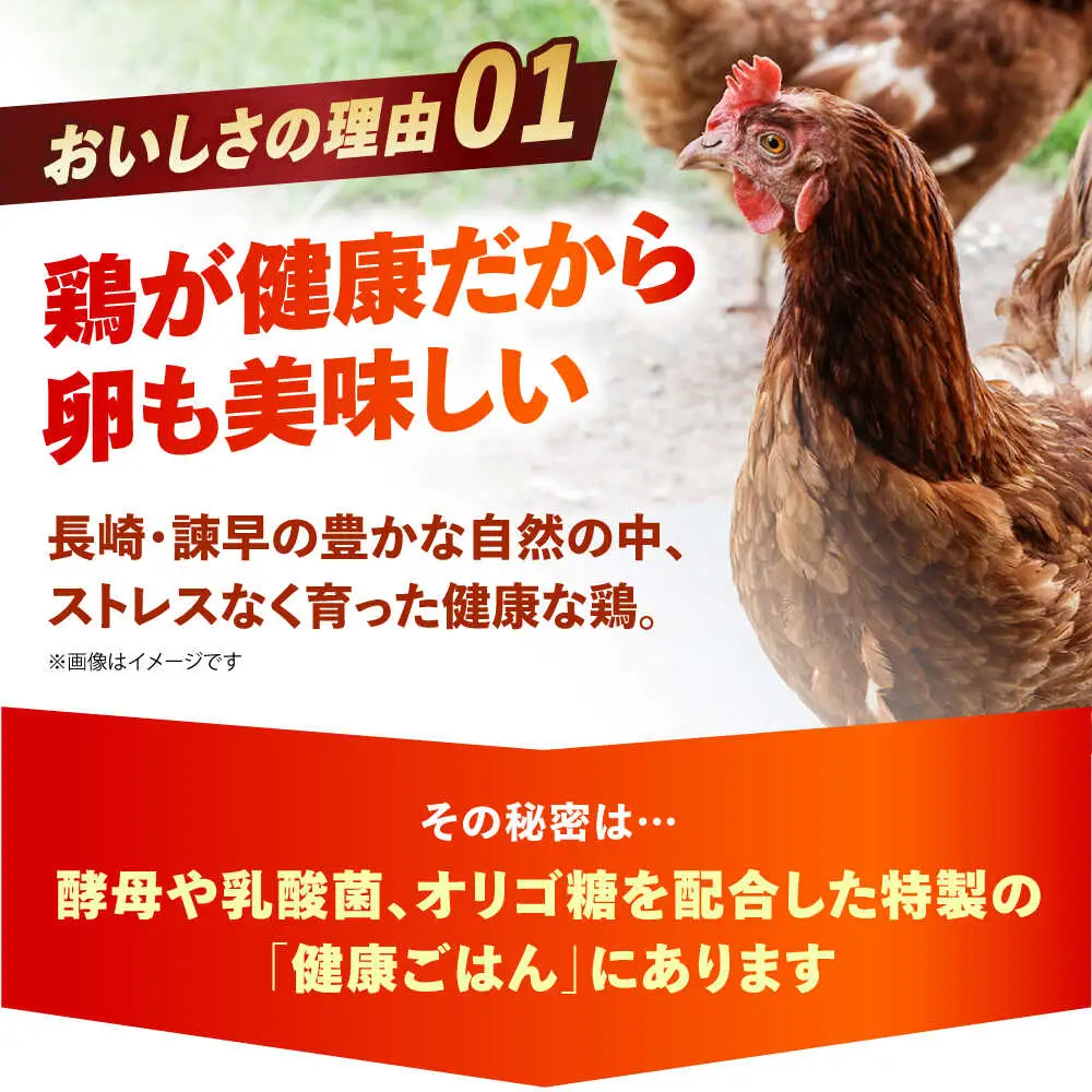 〈数量限定〉【朝採れ直送】小峰鶏園 赤たまご Lサイズ 60個 / 卵 玉子 たまご 卵焼き 玉子焼き 生卵 鶏卵 卵かけごはん / 諫早市 / 小峰鶏園 [AHFB001]
