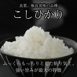 こしひかり 白米10kg コシヒカリ (令和7年産米)