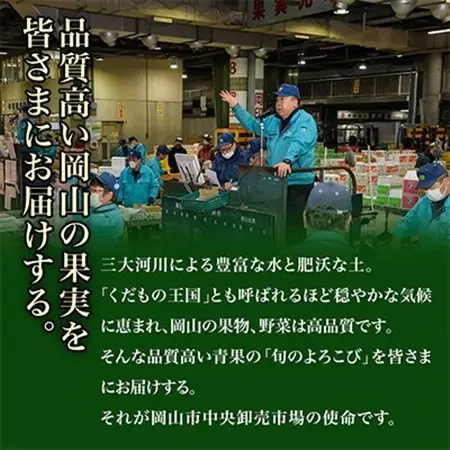 【発送月固定定期便】B 岡山県産 シャインマスカット(晴王)・あたご梨・ニューピオーネほか全3回【配送不可地域：離島・北海道・沖縄県】【4000245】