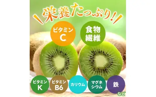 厳選 キウイ フルーツ 0.5kg+250g（傷み補償分） / キウイフルーツ 高級 和歌山 ※2026年11月中旬より2027年4月下旬頃順次発送予定 ※北海道・沖縄・離島への配送不可 【ikd505-p-0d5A】