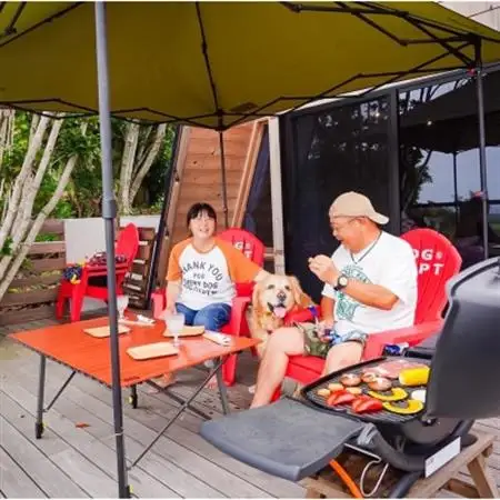 【宿泊12000円クーポン券】 DOG DEPT RESORT 館山犬石/安房白浜 共通チケット【1645912】