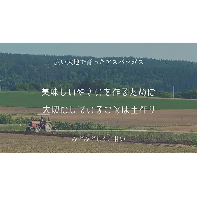 ［武田農園とれたて直送］2027年春～発送 訳あり グリーンアスパラ サイズ混合 約2kg ご家庭用 やわらかくて抜群に甘い！北海道 富良野産 ( アスパラガス アスパラ 野菜 新鮮 産地直送 先行予約 限定 )