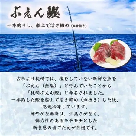 【敬老の日】枕崎産 一本釣り ぶえん鰹刺身・たたき・戻り鰹 詰め合わせ【タレ付】 A3-301K【配送不可地域：離島】【1647520】