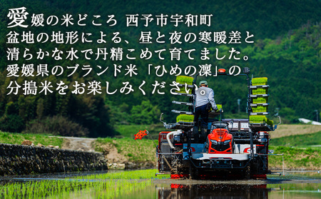 ＜分搗米「BUDUKI」ひめの凜 食べ比べセット 3種類 合計1.8kg＞ ひめのりん 分づき米 ぶづき米 ぶずき米 お米 コメ こめ 選べる 3分づき 5分づき 7分づき 食べ比べ 玄米 精米 ご飯 もとき農園 愛媛県 西予市【常温】『令和7年11月中旬より順次発送予定』UMK0010