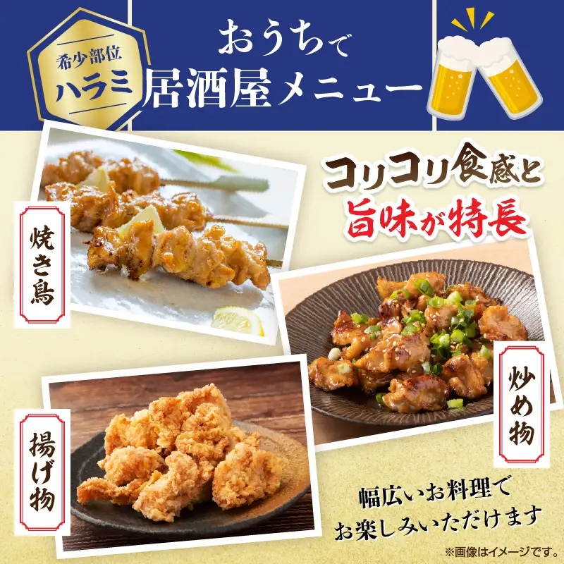 希少部位 宮崎県産 若鶏 ハラミ 計3kg 鶏肉 とり 鳥 国産 小分け 真空パック おかず お弁当 おつまみ 食品 チキン 簡単調理 鶏飯 焼き鳥 焼肉 炒め物 揚げ物 唐揚げ チキンカレー おすすめ 贈り物 ギフト おすそ分け 冷凍 宮崎県 日南市 送料無料_CB107-25