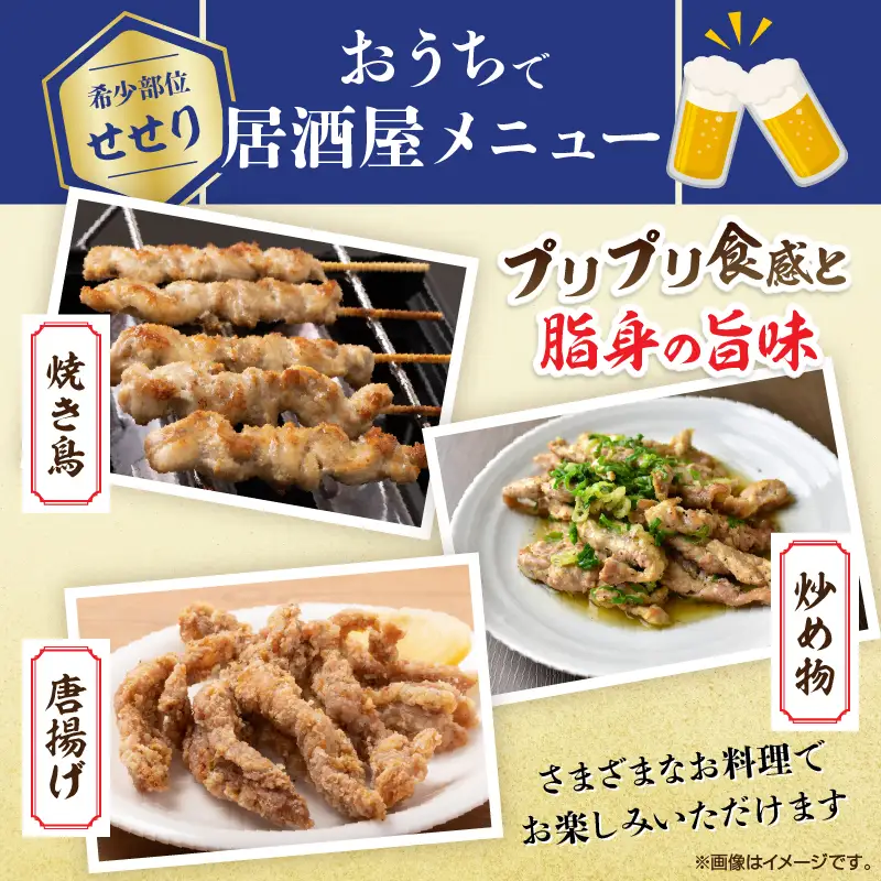 希少部位 宮崎県産 若鶏 せせり 計3kg 鶏肉_DB35-25