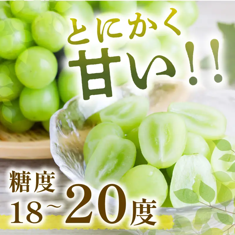 シャインマスカット(ぶどう)約2kg＜2026年9月から発送開始分先行予約＞【C-177】