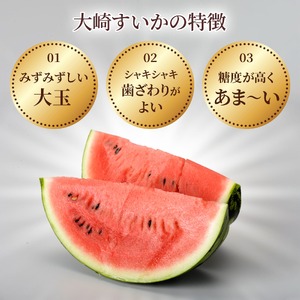 ＜2027年収穫分 先行予約＞大崎すいか 1箱（大2玉入り）| すいか 甘い