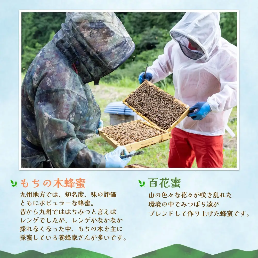 【お中元】みよしのハチミツ2本セット(百花蜜・もちの木) 220g×2本 K063039