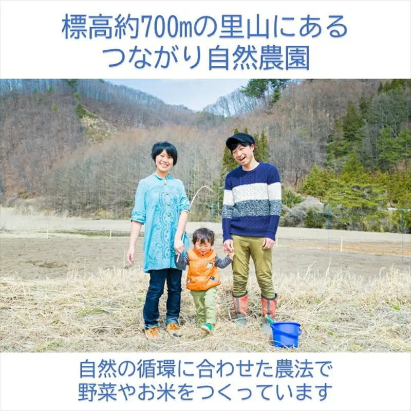 完熟ミニトマト 約2kg 『ご褒美ミニトマト食べ比べBOX』〈2026年8月10日～9月15日出荷／北海道・沖縄・離島は配送不可〉 農薬・化学肥料不使用 トマト 高原野菜 無農薬 産地直送 新鮮 旬彩 期間限定 長野県 信州