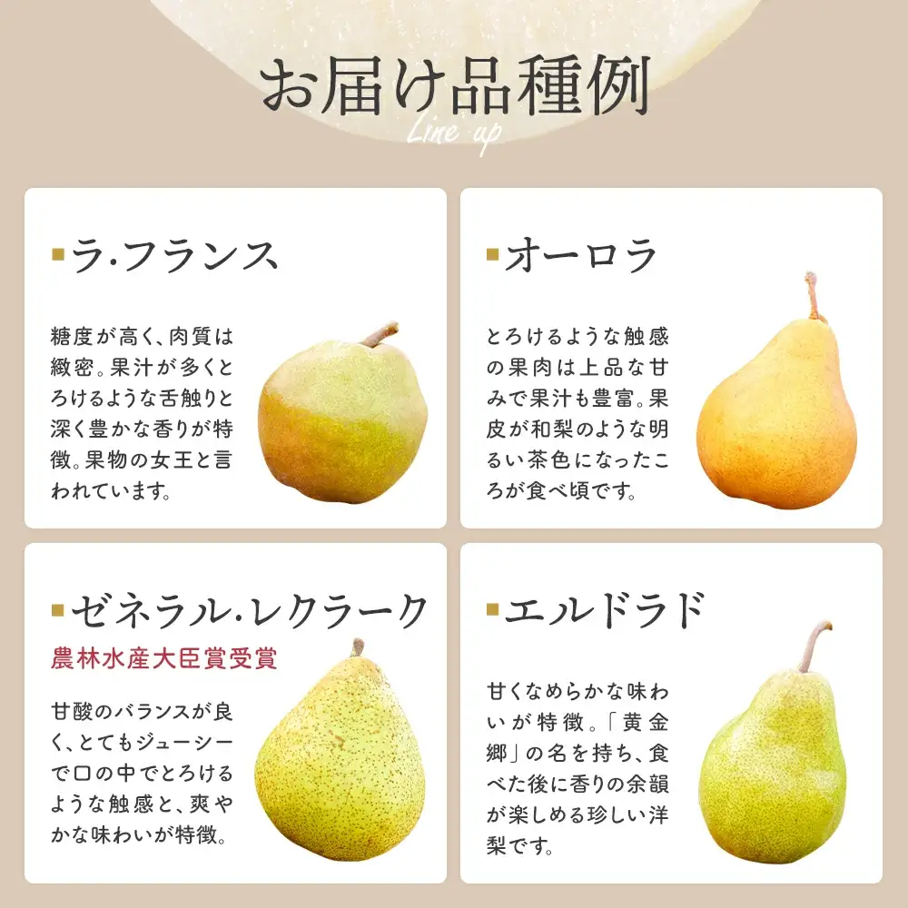 【先行予約】厳選 西洋梨詰合せ約4kg（14個～16個） 蔵王産　【04301-0150】