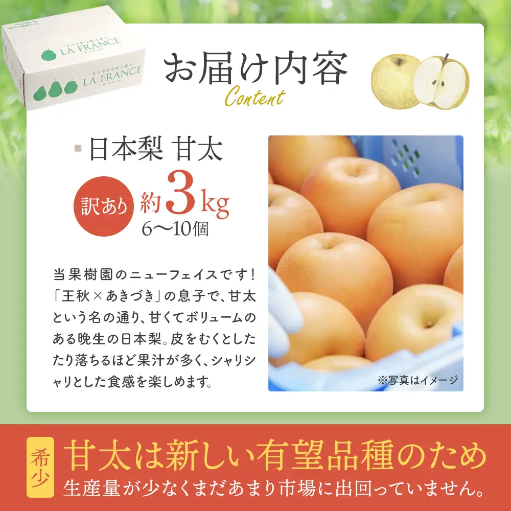 【先行予約】【訳あり】日本梨（甘太）3kg（大玉6～10玉入り） 蔵王産　【04301-0454】