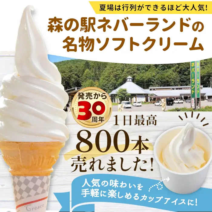 優しい味★ 着色料・香料不使用！ 生ソフトクリームアイス 7個セット アイスクリーム ミルク 牛乳  根羽村 ネバーランド 6000円
