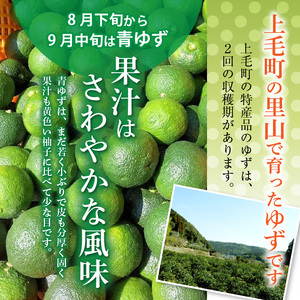 訳あり 青ゆず 生果実 約2kg_MM0207