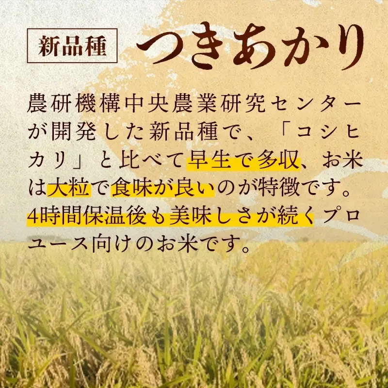 令和7年産 開運米 つきあかり（無洗米）幸手産 - 5kg×2袋 10kg 福祉 応援 安心 安全 埼玉県 幸手市 幸手市産
