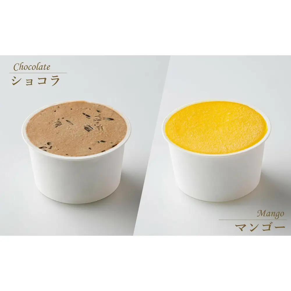 アイスクリーム詰め合わせ１０個（福岡市内製造) | お菓子 菓子 おかし スイーツ デザート 食品 人気 おすすめ 送料無料