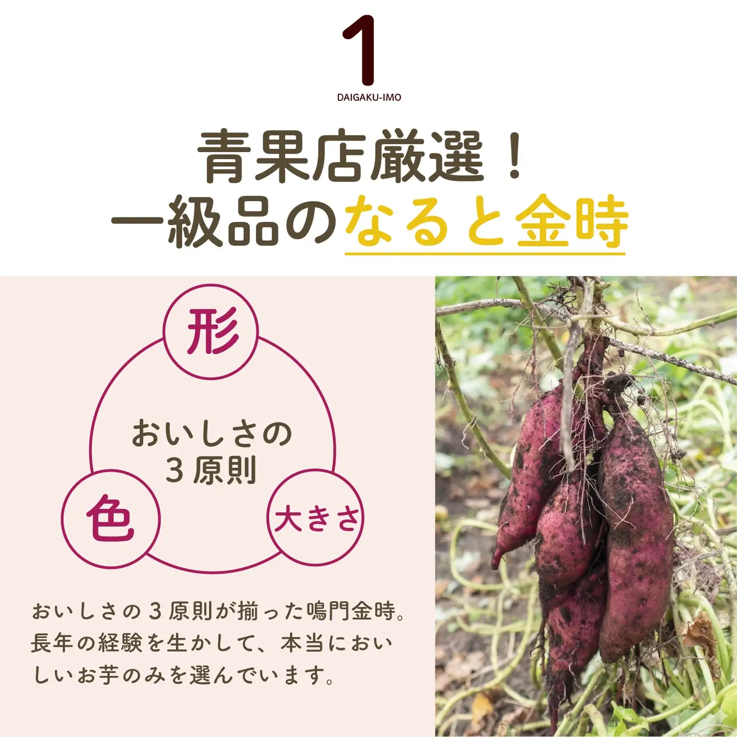 【鳴門金時】 大学芋 3kg 個包装 大学芋