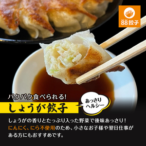 餃子 浜松餃子 88ぱちぱち 40個 食べ比べ 餃子