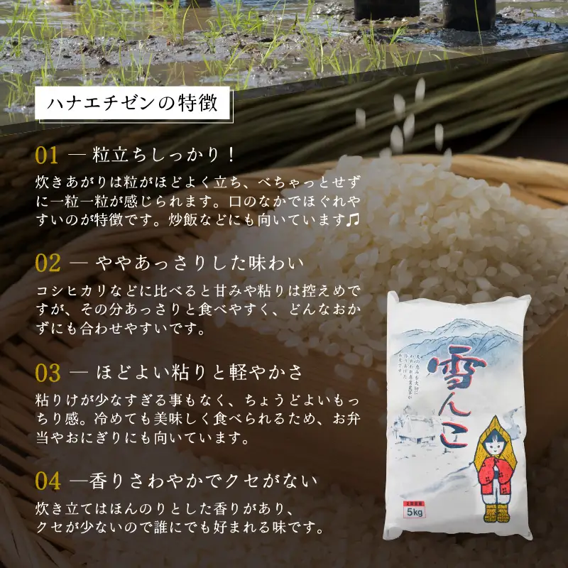 【先行予約】【令和8年産・新米】定期便 ≪3ヶ月連続お届け≫ ハナエチゼン 5kg × 3回（計15kg）【2026年10月中旬以降順次発送】【玄米】 [e26-c002_02]