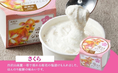 【ジェラート醍醐桜】恋するジャージー さくら 6個セット / 岡山 真庭 醍醐桜 極上スイーツ 濃厚 プレゼント 贈答 デザート ギフト ジャージー牛 ミルク ジェラート おやつ 桜餅 桜の塩漬け 子供から大人まで 冷凍 人気 贅沢 家庭用にも【jfg-daigo016】