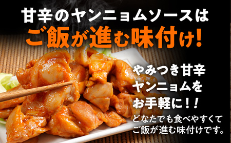 鶏肉 ヤンニョムチキン 1.2kg 鶏肉