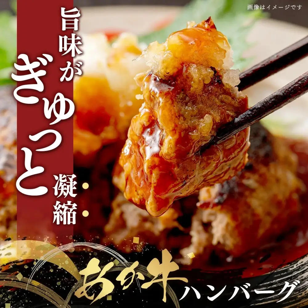 【GI認証】くまもと あか牛 ハンバーグ《ご家庭用》150g×10個 あか牛100％ 赤身 冷凍 熊本県産 あかうし はんばーぐ 惣菜 おかず 和牛 牛肉 073-0409