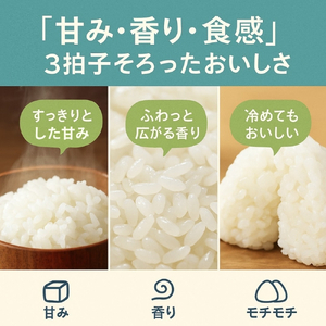 【令和8年産先行予約】新米 5kg たはらのお米