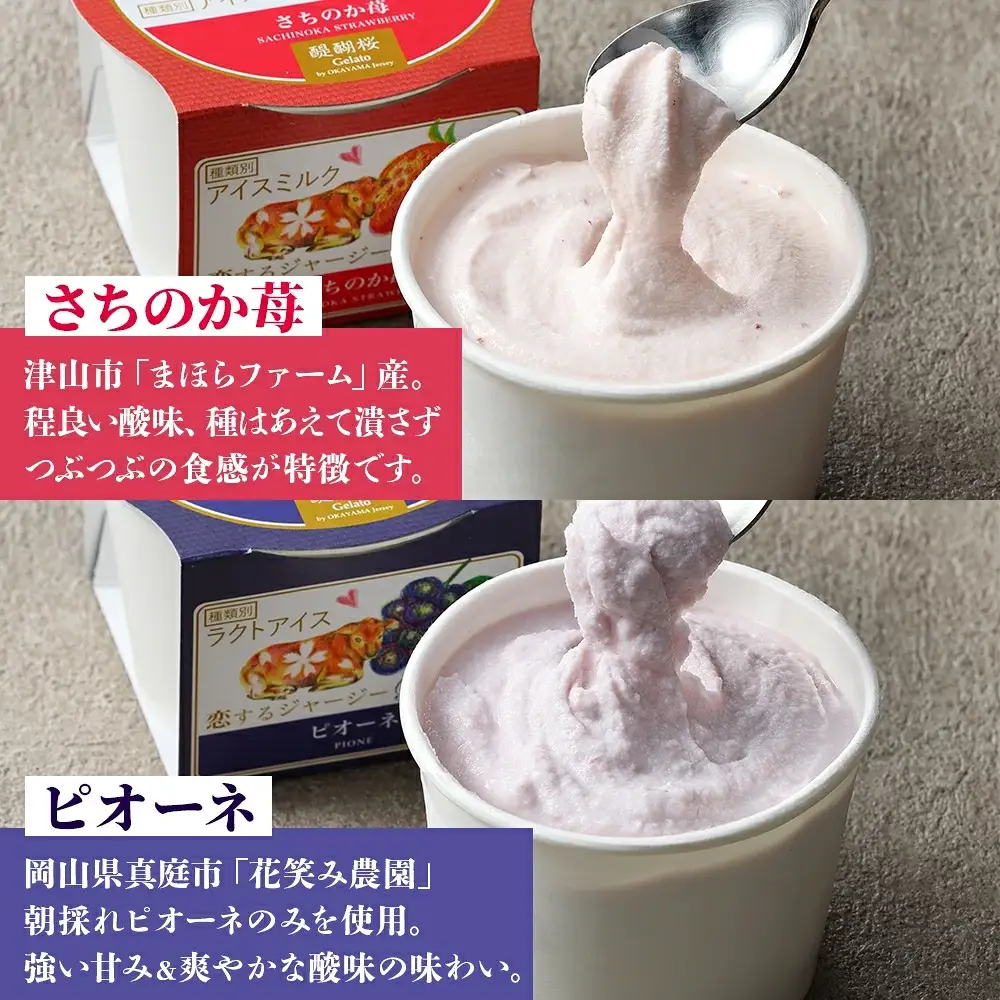 【ジェラート醍醐桜】恋するジャージーPremium3種 （ゴールデンミルク＆さちのか苺＆ピオーネ）計12個セット / 岡山 真庭 【nhss043-01】