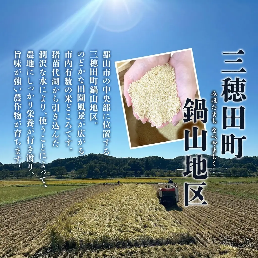 コシヒカリ 尚楠 三穂田鍋山 新米 精米 コシヒカリ【10kg】【常温】