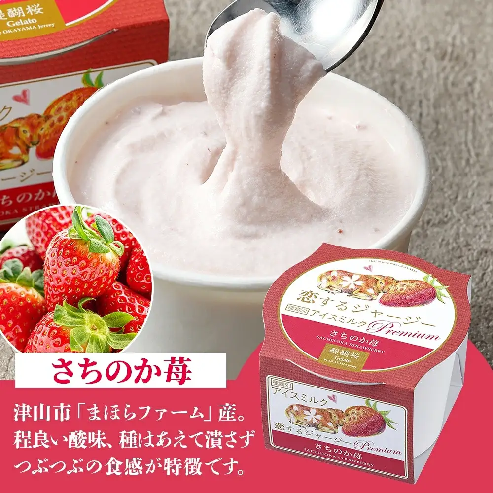 【ジェラート醍醐桜】【熨斗】恋するジャージーPremium2種 （ゴールデンミルク＆さちのか苺）計12個セット / 岡山 真庭 【nhss038n-01】