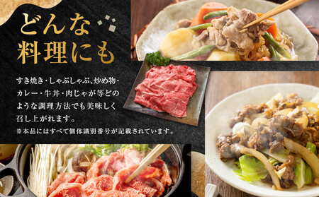 ちょっとリッチな飛騨牛（希少部位）約2.4kg【1月・4月・7月・10月発送】定期便4回  | みすじ ウデ すき焼き しゃぶしゃぶ  希少部位 600g 定期便 FC105