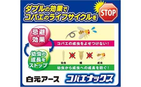 コバエがいなくなる コバエナックス 3個セット 虫よけ
